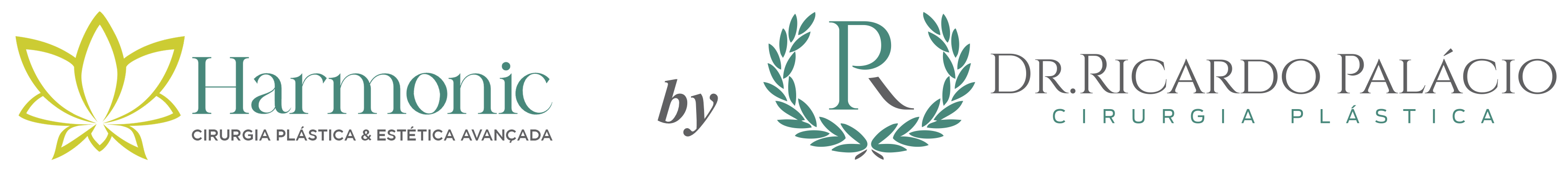 logo_harmonic_by_pr.png