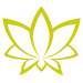 logo_menu.png